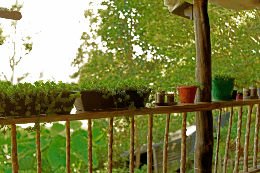 paisajes de san Agustín huila