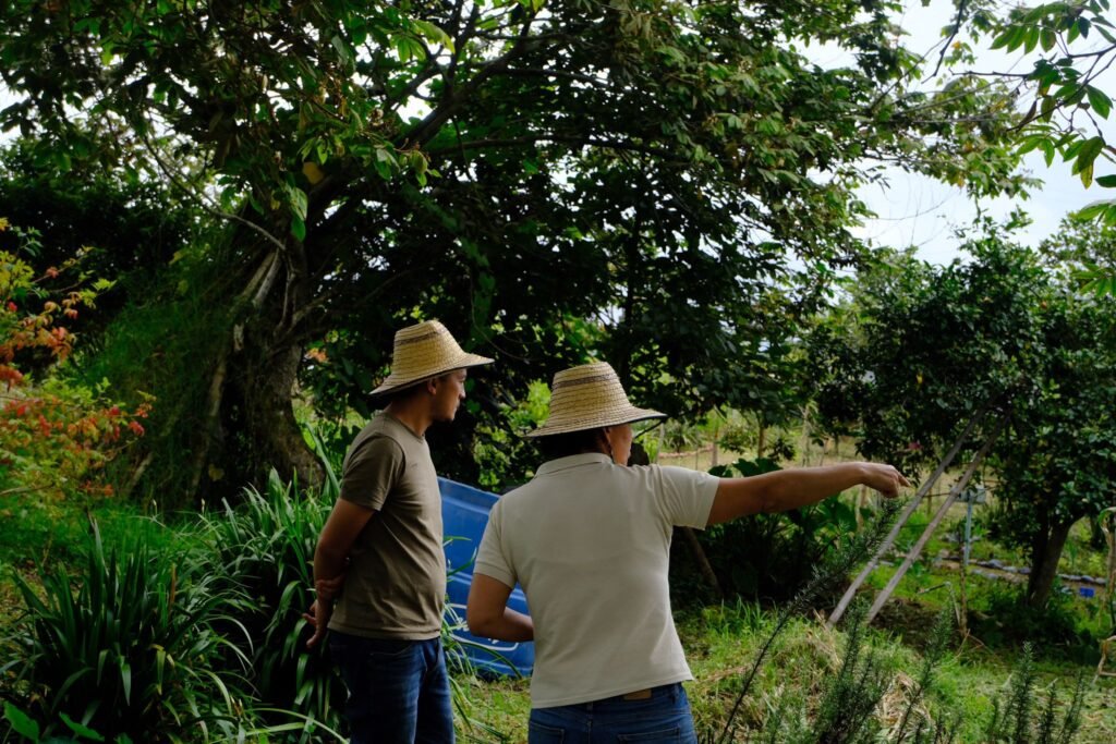finca certificada san agustin