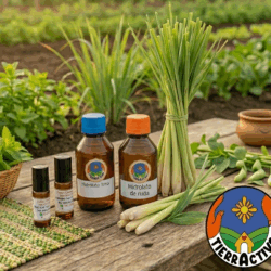 Aceites-esenciales-hidrolatos-naturales-Tierractiva-Huila.